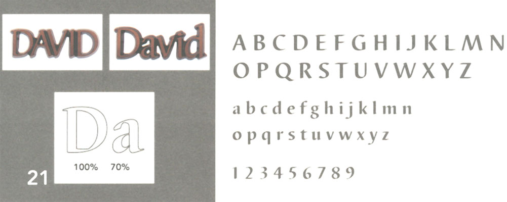 
T21 David