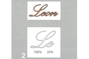 T2 Leon