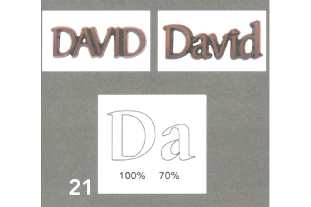 
T21 David