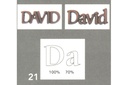 
T21 David
