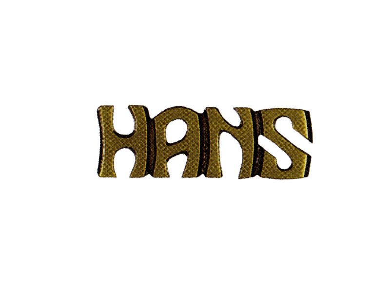 Type D Hans