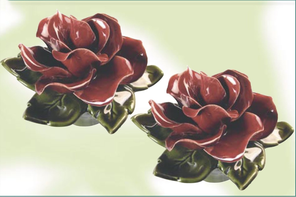AM505.20 rozen