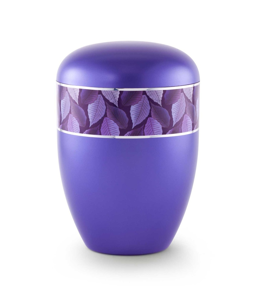 UV1538
