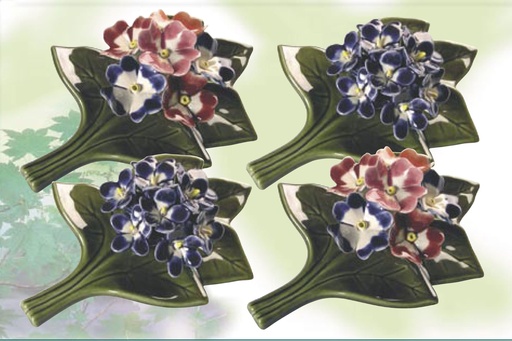 AM504.54 violetjes