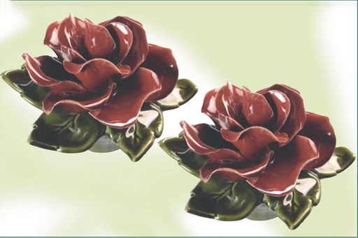 AM505.20 rozen