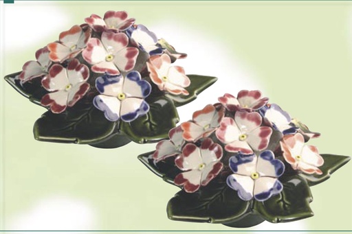 AM506.35 primaveras