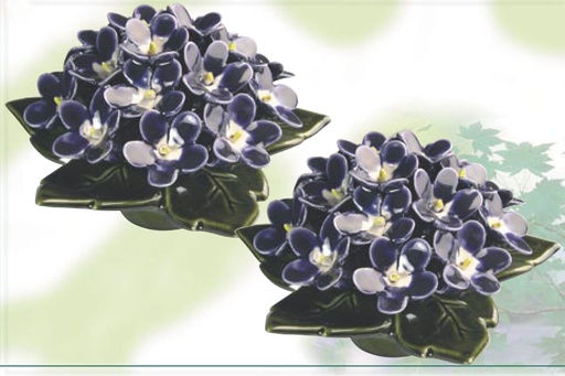 AM506.54 violetjes