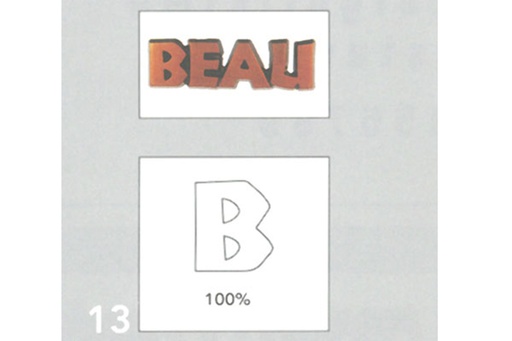T13 Beau